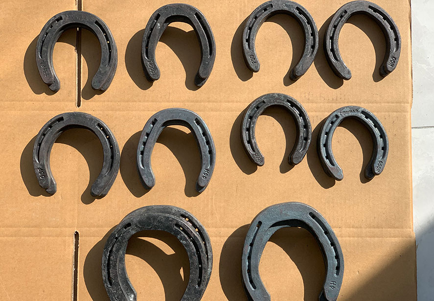 Luchtverzendmonsters naar Horseshoe -klant